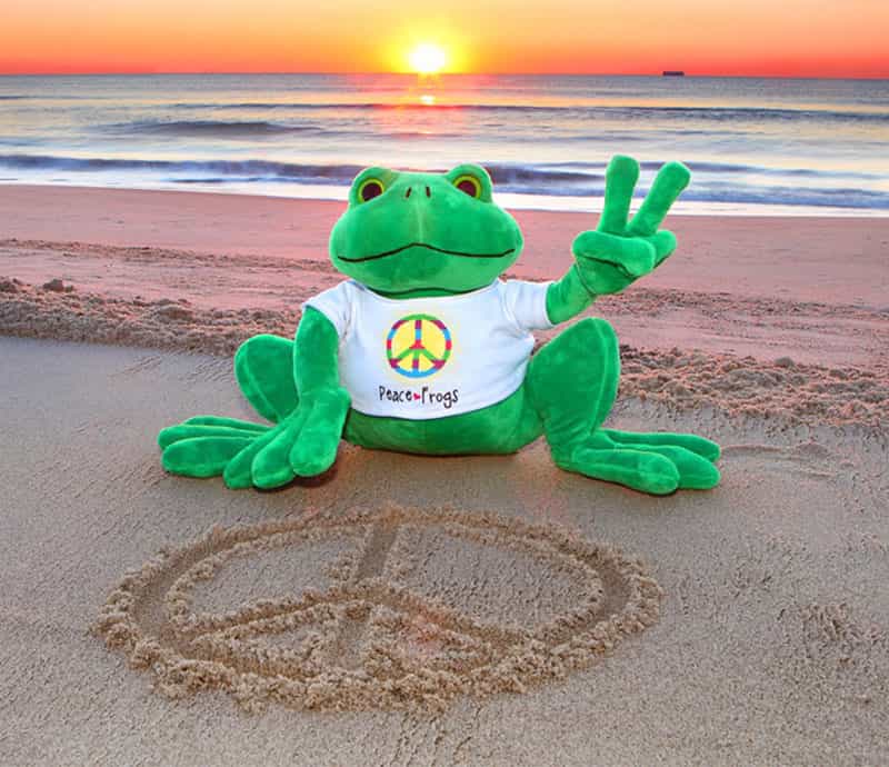 Peace Frog on Beach