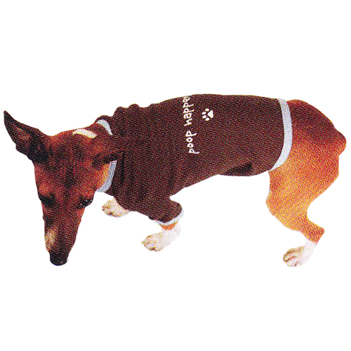 Product Image of Peace Frogs Doggie Ringer T