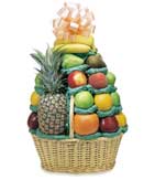 The Party Basket,  In 3 Sizes