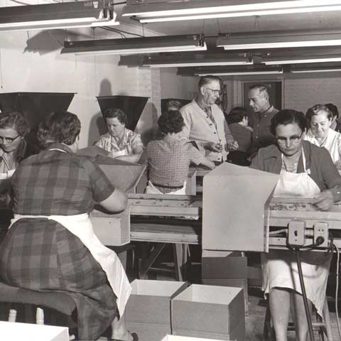 Ladies sorting pecans