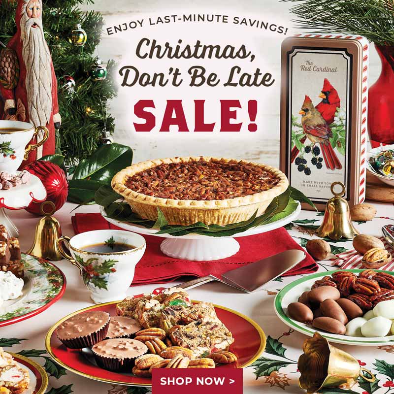 Last Minute Deals • Our Christmas, Don't Be Late SALE!
