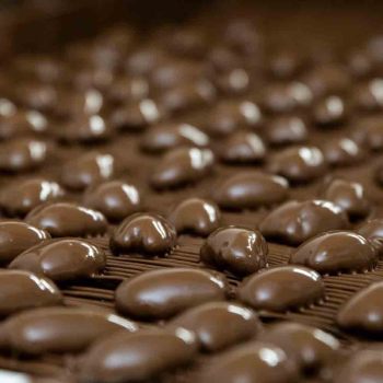 Enrobed Chocolate Pecans