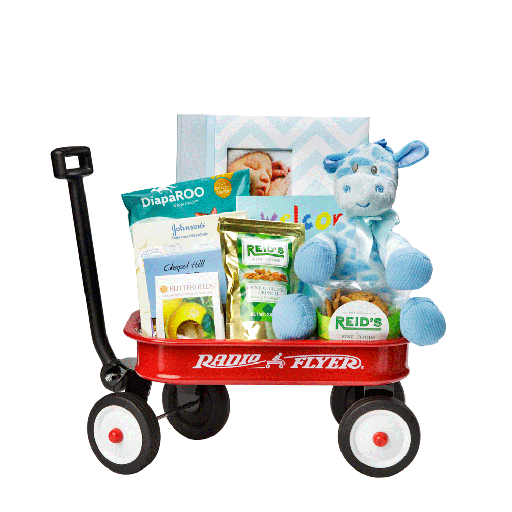 Baby Boy Wagon Gift