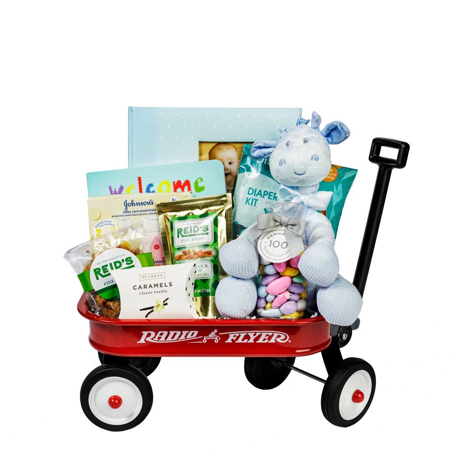 Popular Baby Shower Gifts
