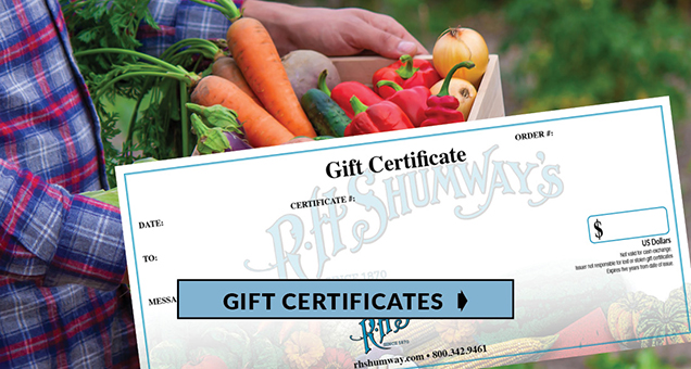 Gift Certificates