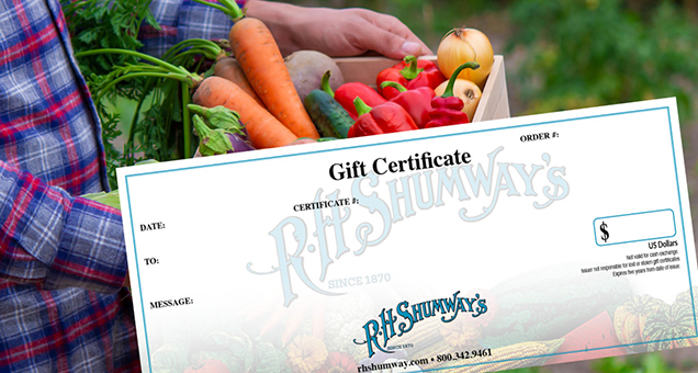 Gift Certificates