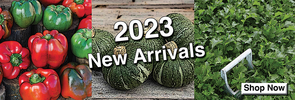 New Arrivals