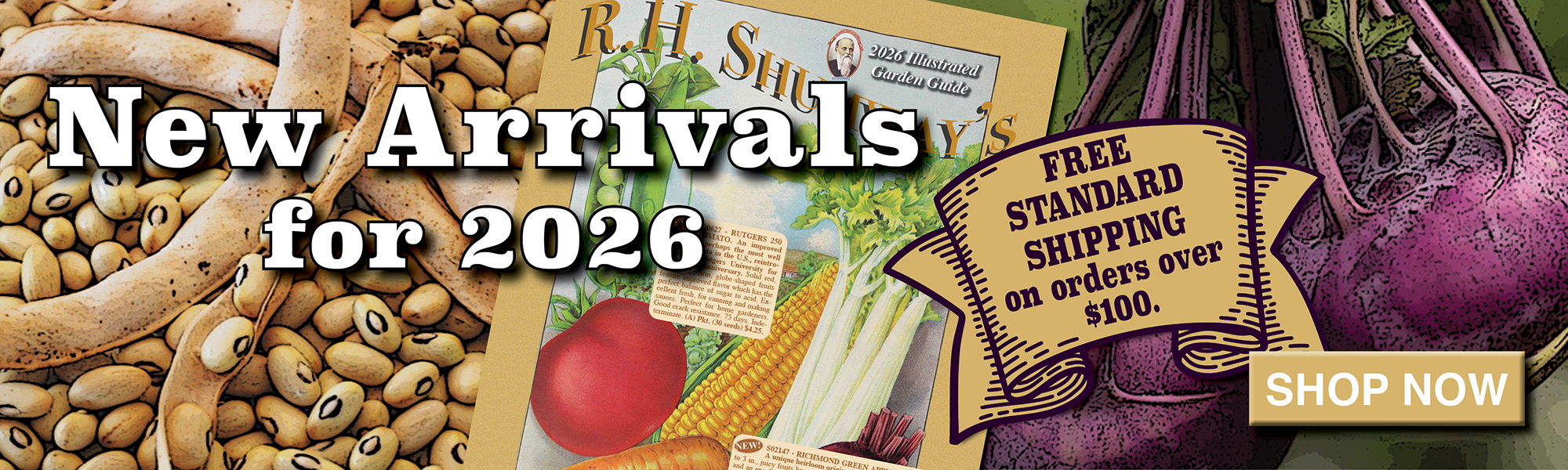 New Arrivals For 2026