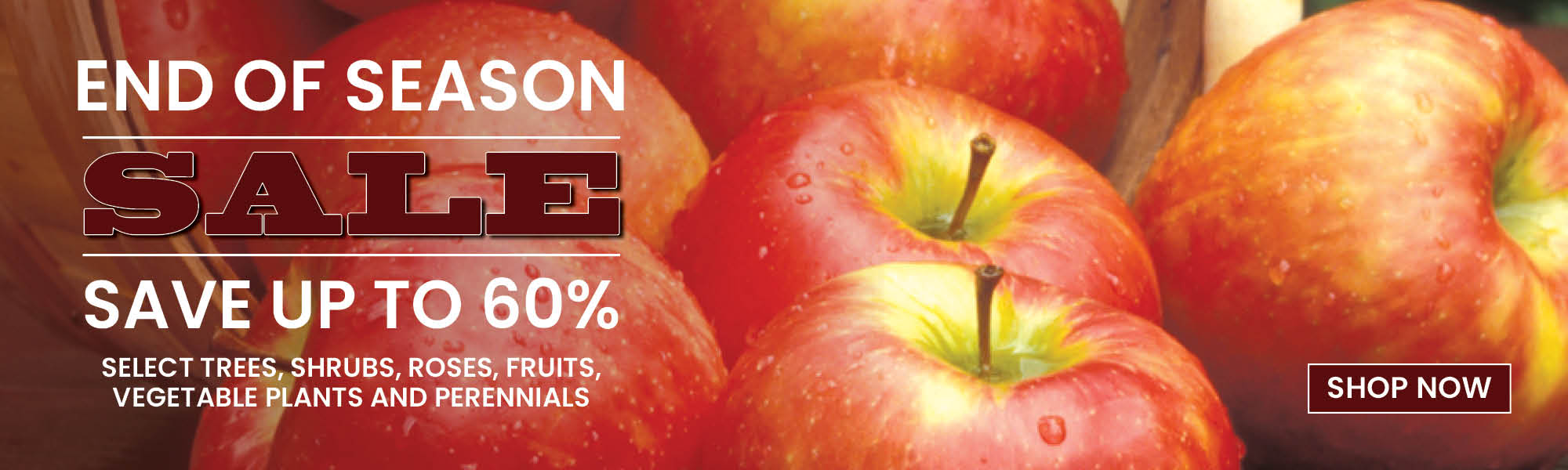 End Of Season Sale