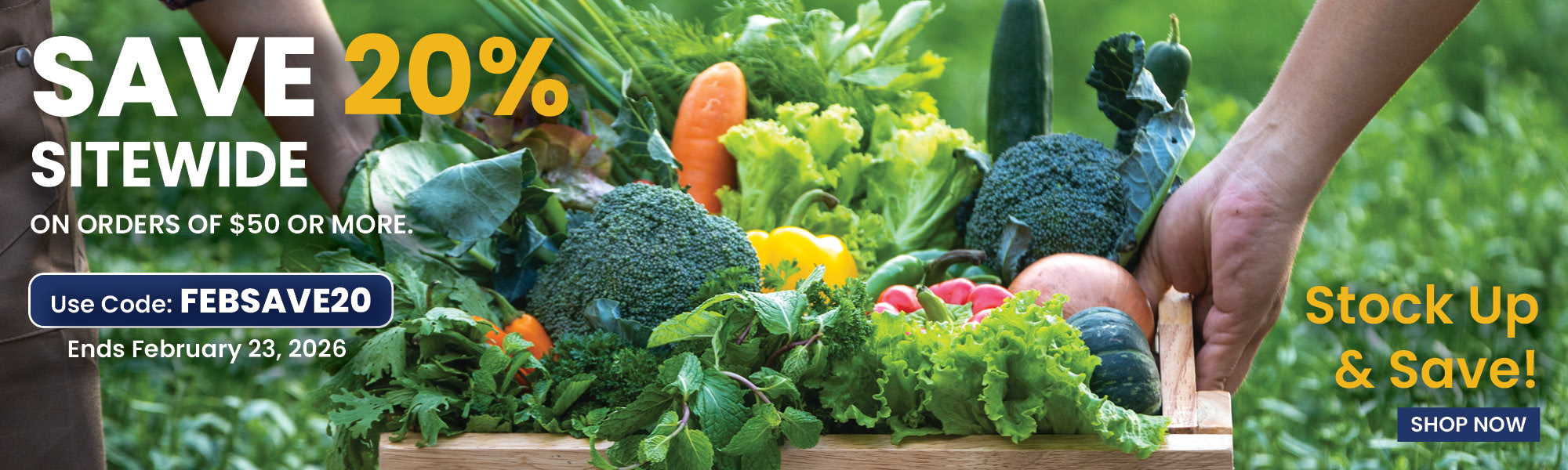 Save 20% Orders $50 Or More