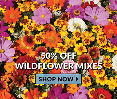 50% Off Wildflower Mixes