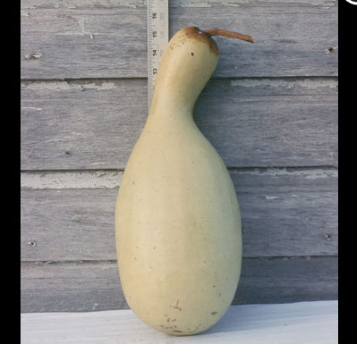 Legendary Bottle Gourd