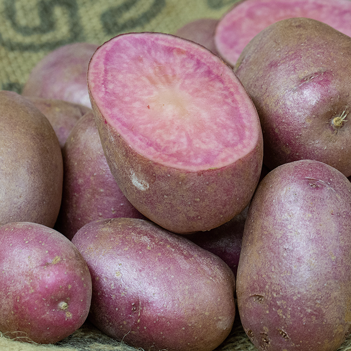 Adirondack Red Whole Potatoes