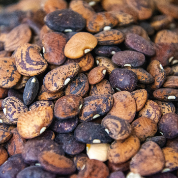 Bean, Bush, Jackson Wonder Lima