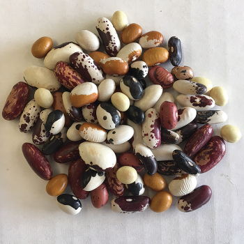 Bush, Heirloom Bean Soup Mix Bush, Heirloom Bean Soup Mix