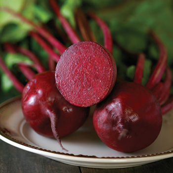 Beet, Improved Detroit Dark Red