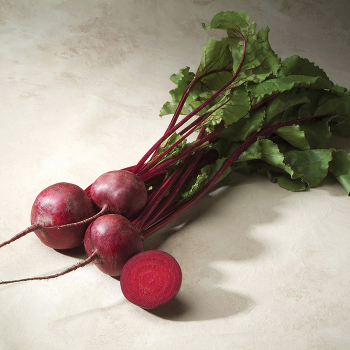 Beet, Merlin Hybrid
