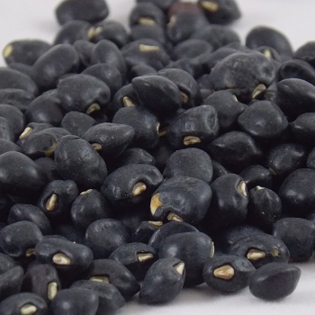 Cowpea, Black Crowder Cowpea, Black Crowder