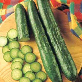 Sweeter Yet Hybrid Cucumber