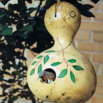 Birdhouse Gourds