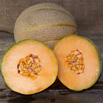 Melon, Hale's Best Jumbo Melon, Hale's Best Jumbo