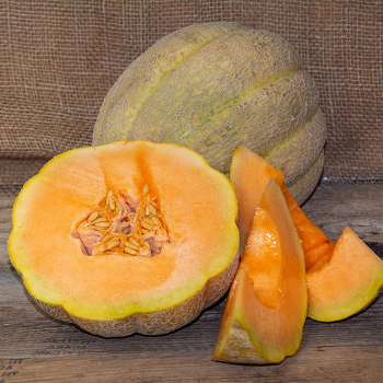 Melon, Pride of Wisconsin  Melon, Pride of Wisconsin