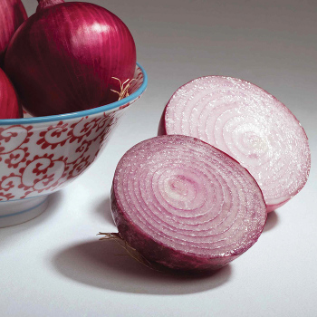 Red River Hybrid Onion