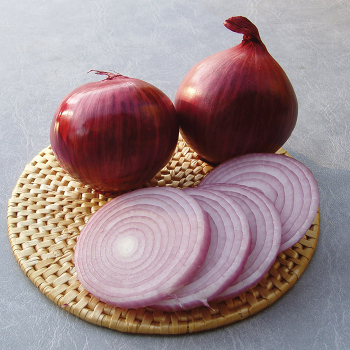 Red Wing Hybrid Onion  Bunch (40-50 plants)