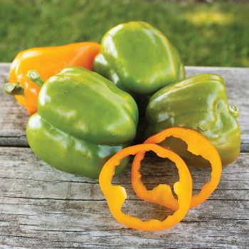 Pepper, Sweet, Orange Sweet