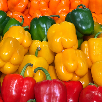 Pepper, Sweet, Gourmet Rainbow Blend