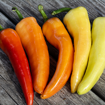 Pepper, Sweet, Sweet Banana&nbsp;