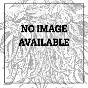 Nobel Spinach