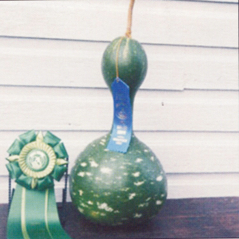Indonesian Bottle Gourd
