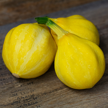 Squash, Summer, Lemon 