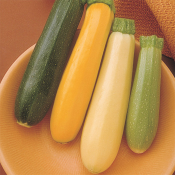 Summer Medley Hybrid Squash