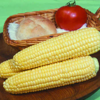 Earlivee Hybrid Sweet Corn