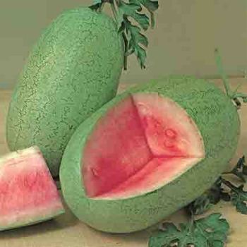 Charleston Grey 133 Watermelon