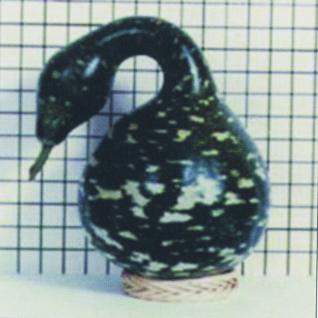 Gourd, Goose 