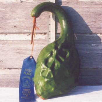 Maranka Gourd