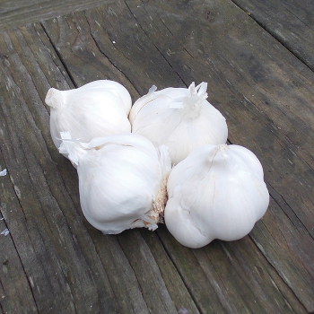 Garlic, Silver Rose, 1/2 Lb