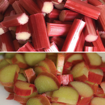 Rhubarb, Canada Red And Victoria Offer