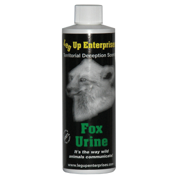 Fox Urine