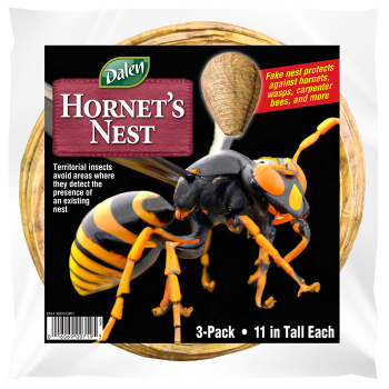 Hornet's Nest