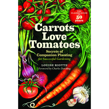 Product Image of Carrots Love Tomatoes