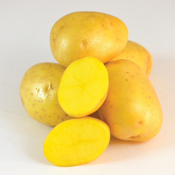 Sunrise Gold Potato