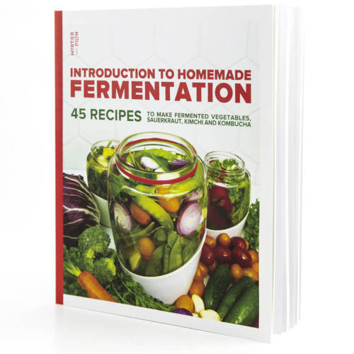 Homemade Fermentation Book by Mortier Pilon