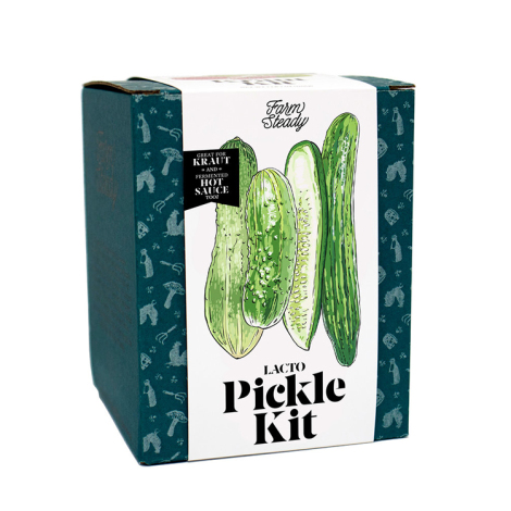 Farm Steady Lacto-Pickle Kit