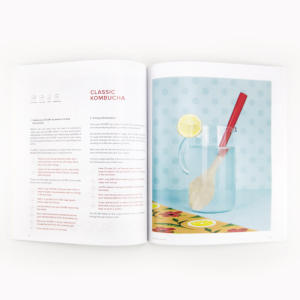 Homemade Fermentation Book by Mortier Pilon