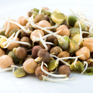 Masontops Mumm's Sprouting Seeds Crunchy Bean Mix
