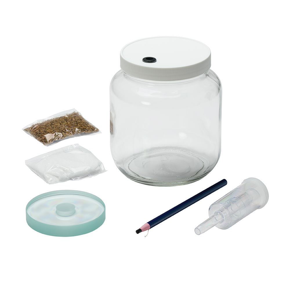 Kraut Kit